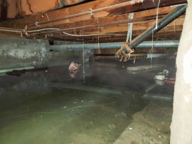 Best Water damage restoration specialists  in Purcellville, VA