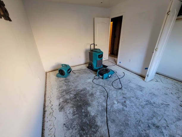 Best Water damage restoration near me  in Purcellville, VA