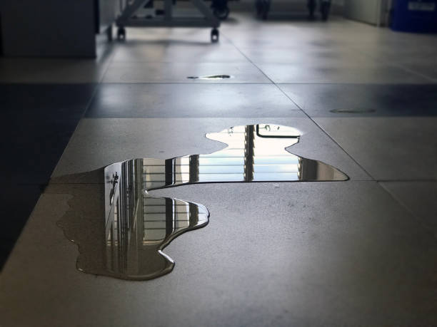 Best Commercial water damage restoration  in Purcellville, VA