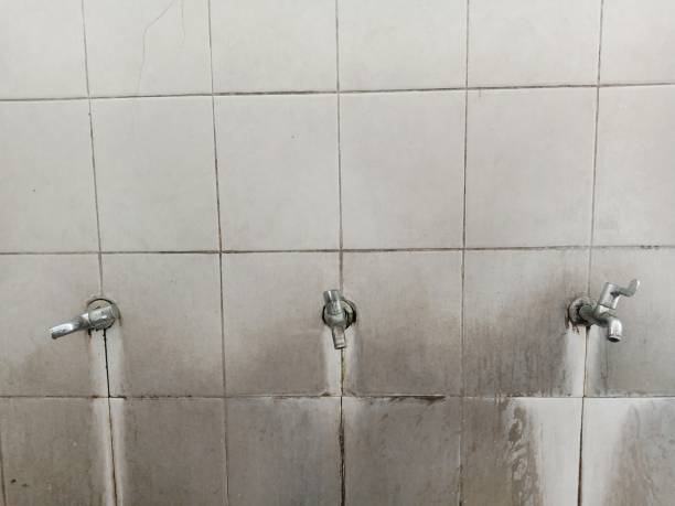 Best Flood restoration services  in Purcellville, VA