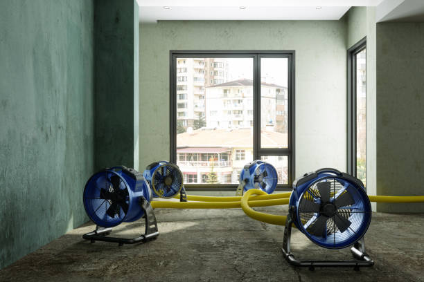 Best Emergency water damage restoration  in Purcellville, VA