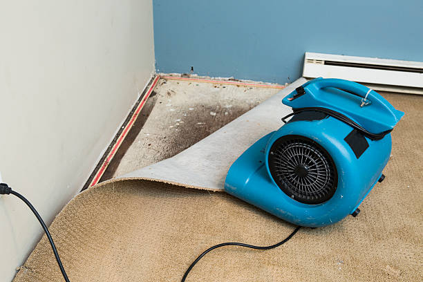 Best 24-hour water damage restoration  in Purcellville, VA